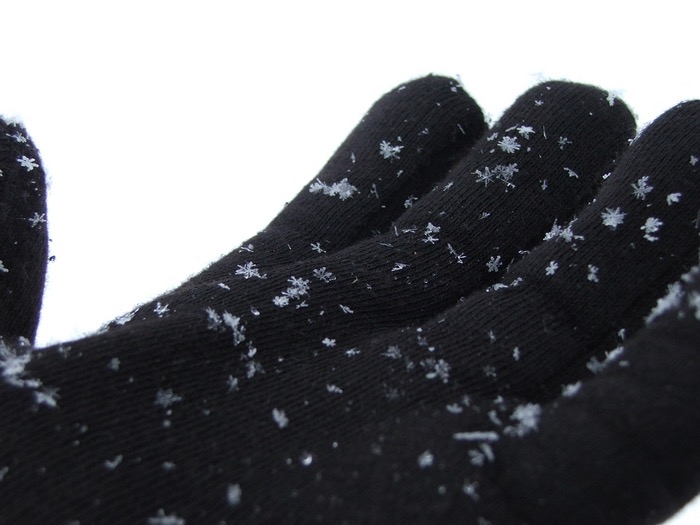 Catching Fleeting Snowflakes